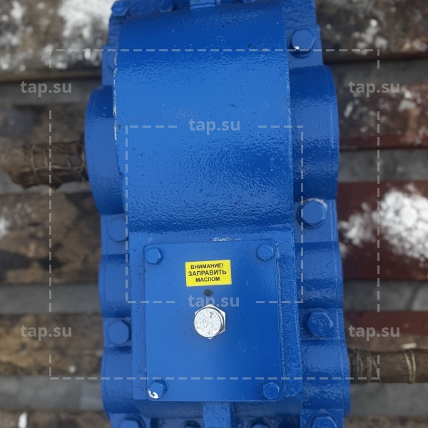 Редуктор РЦД-250-25-12-М-У-2